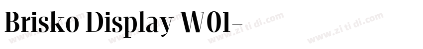 Brisko Display W01字体转换 Brisko Display W01字体转换
